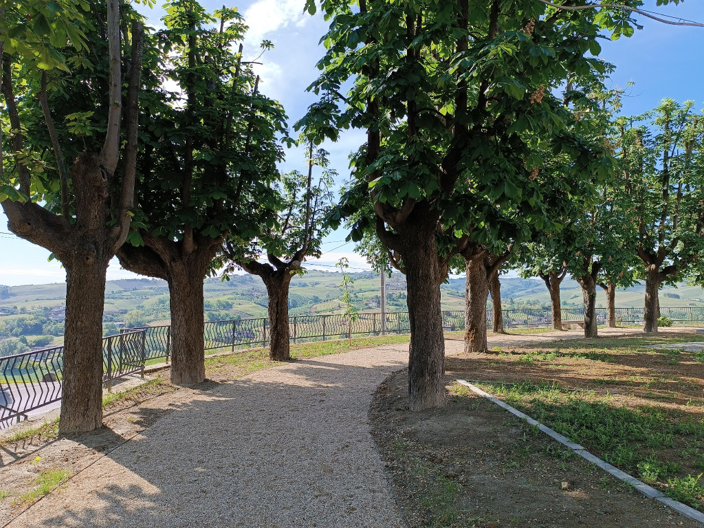 Leja viewpoint